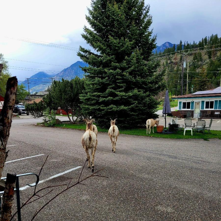 Lido Motel Radium Hot Springs Exterior foto