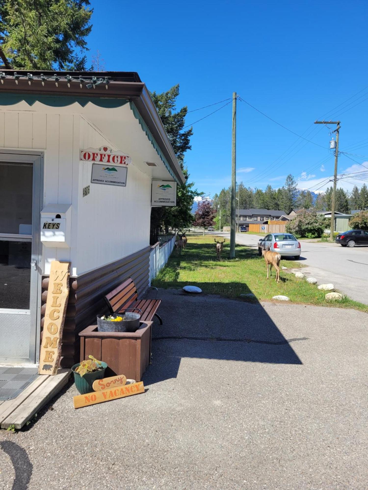 Lido Motel Radium Hot Springs Exterior foto